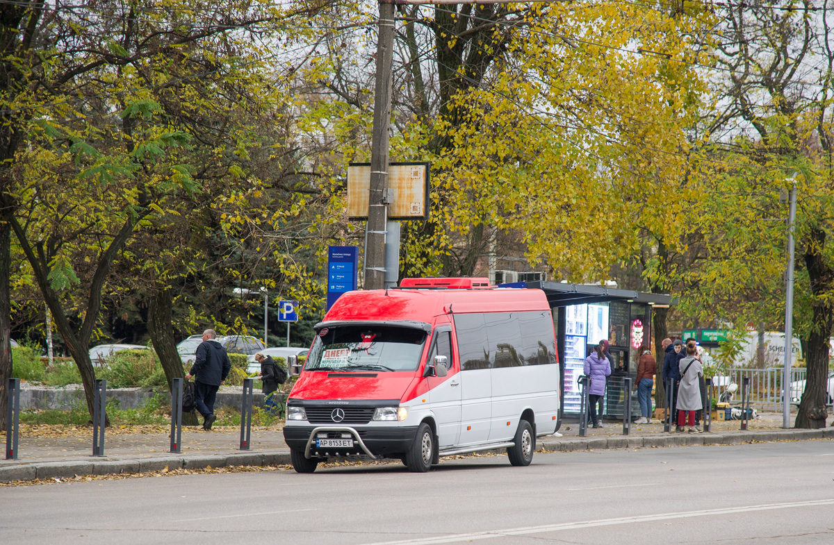 Запорожская область, Mercedes-Benz Sprinter W903 312D № AP 8153 ET