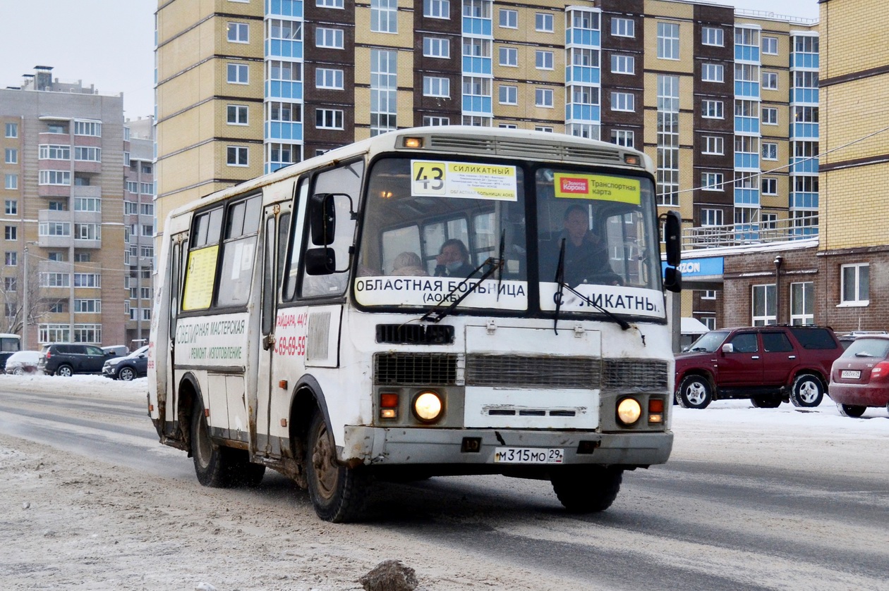Архангельская область, ПАЗ-32054 № М 315 МО 29