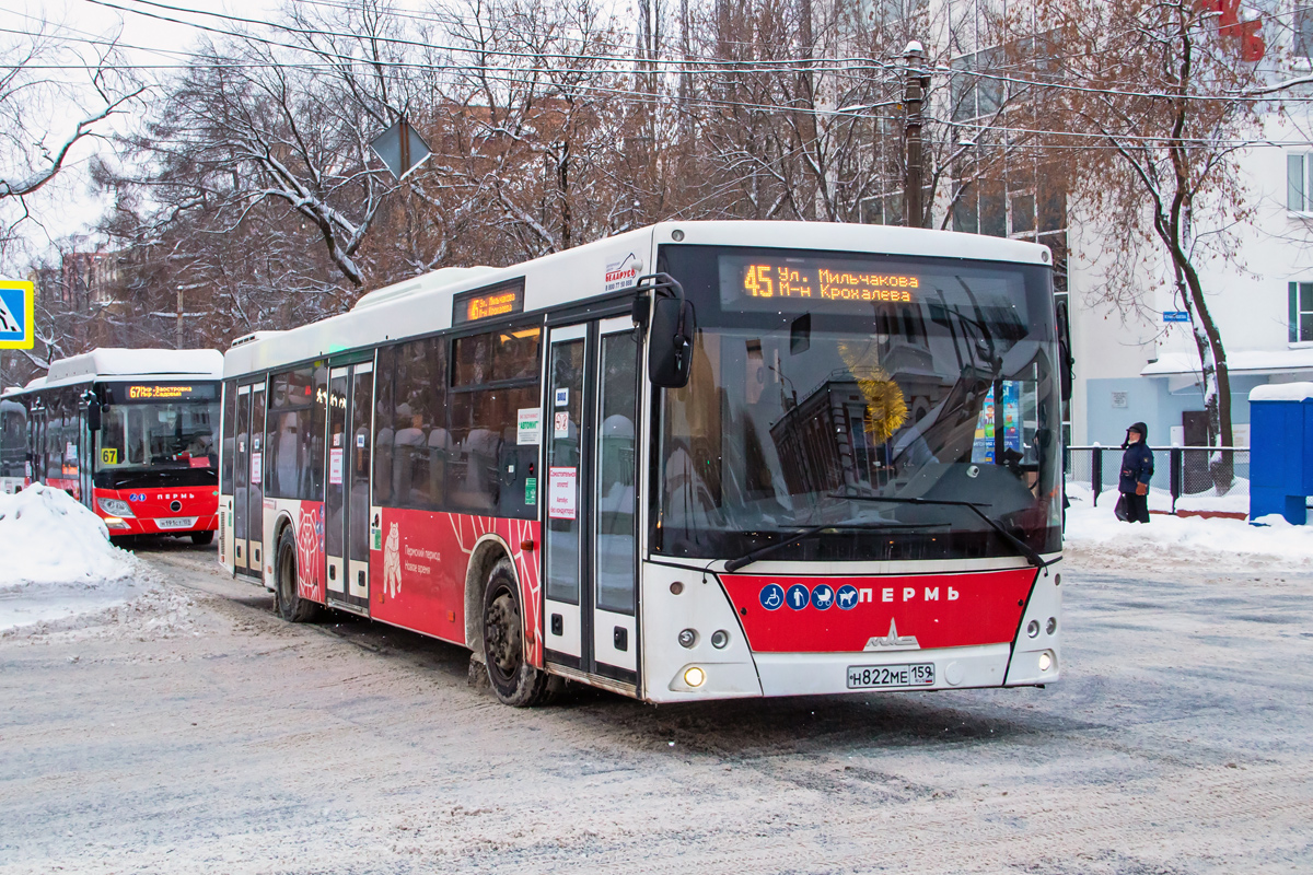 Пермский край, МАЗ-203.016 № Н 822 МЕ 159