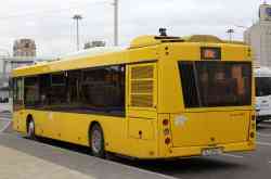 484 КБ