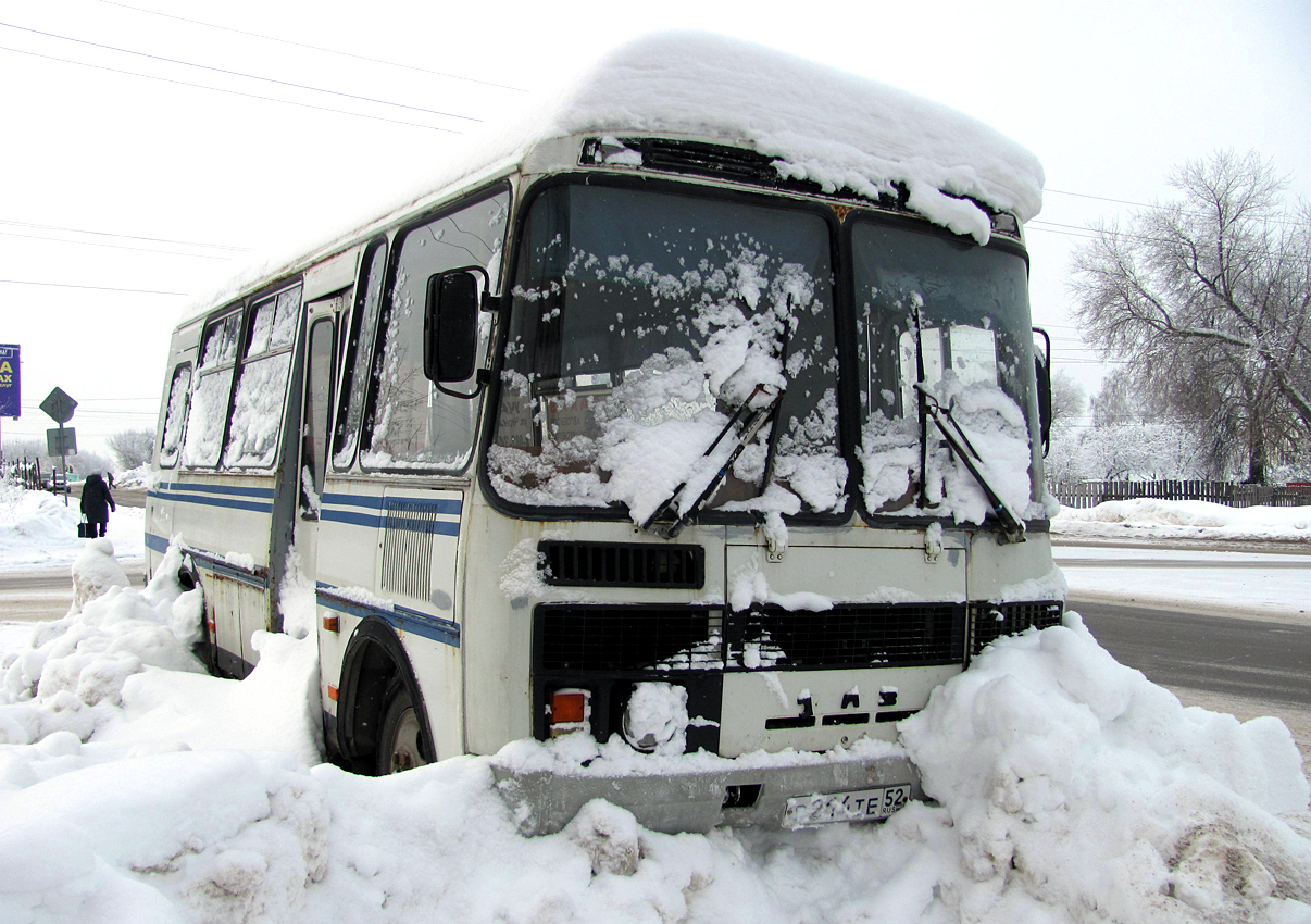 Нижегородская область, ПАЗ-32053 № Р 214 ТЕ 52