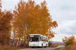 537 КБ
