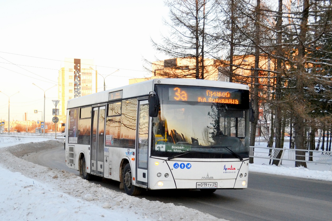 Архангельская область, МАЗ-206.086 № М 019 ТУ 29
