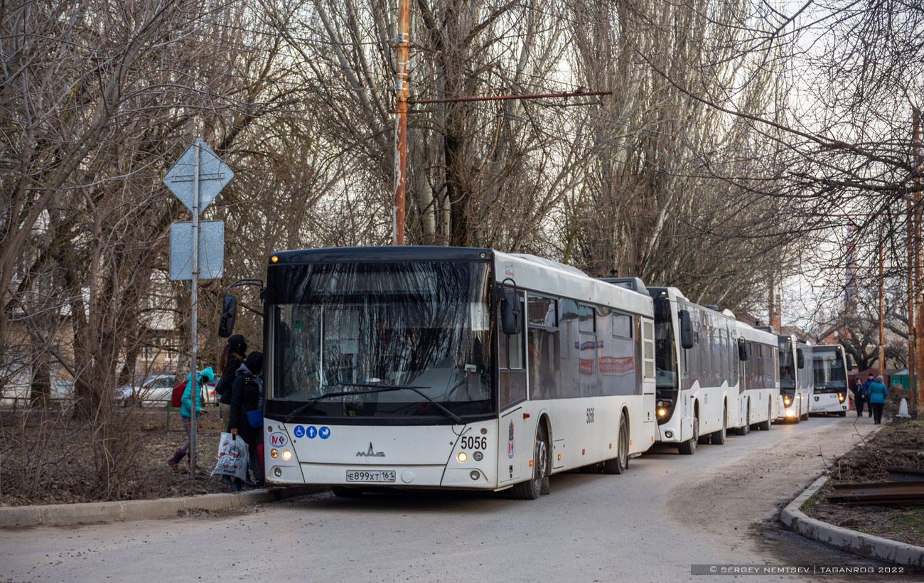 Ростовская область, МАЗ-203.069 № 5056
