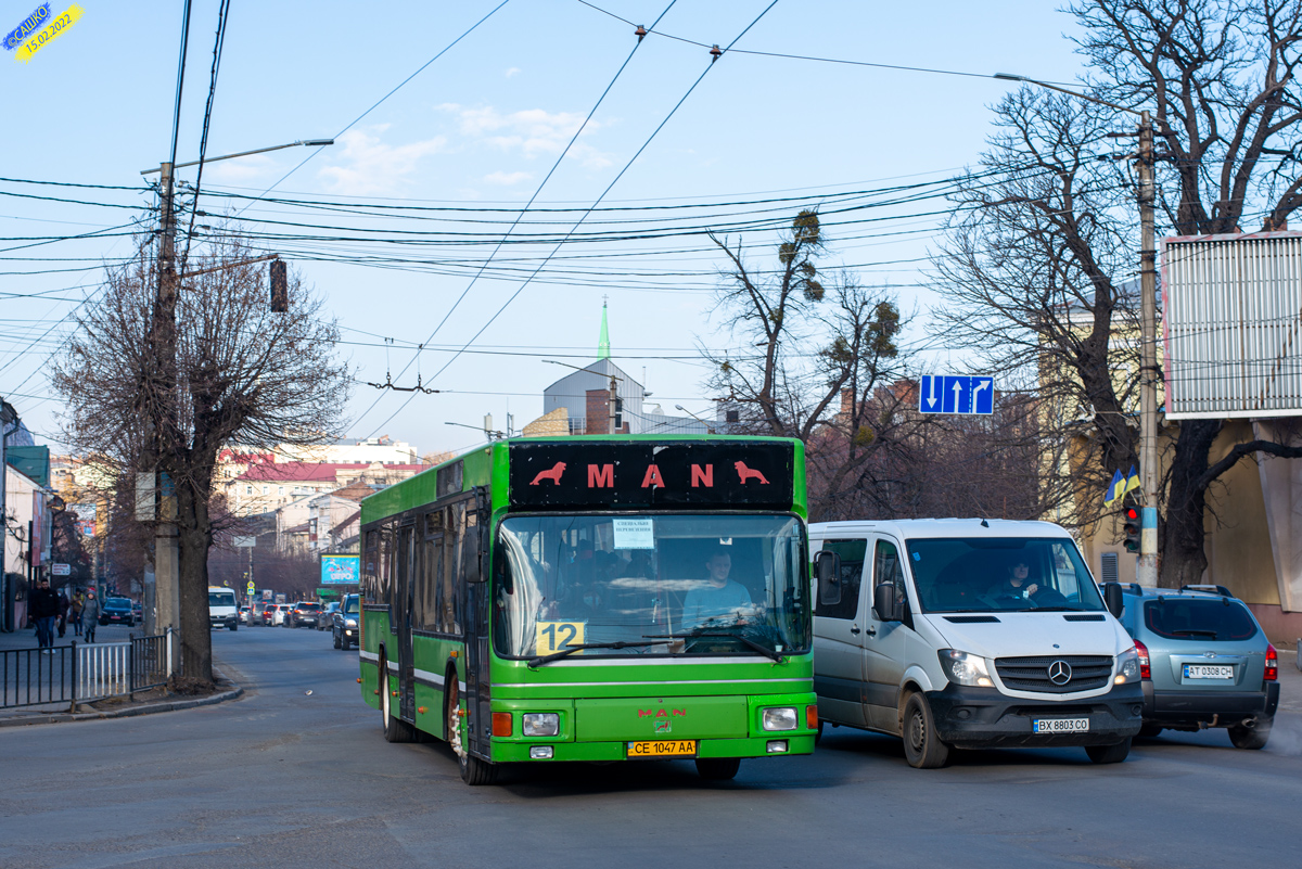 Черновицкая область, MAN A10 NL222 (Gräf & Stift) № CE 1047 AA
