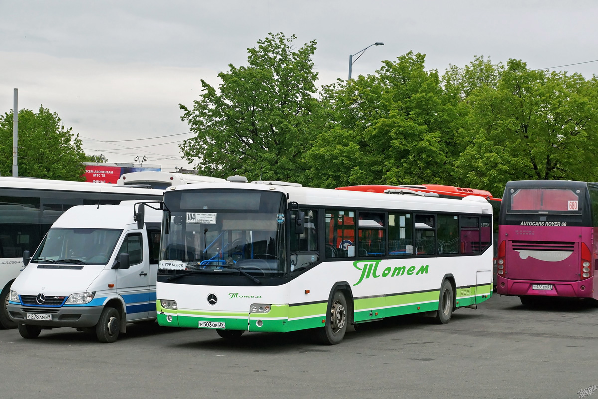 Kaliningrad region, Mercedes-Benz O345 Conecto C # Р 503 ОК 39