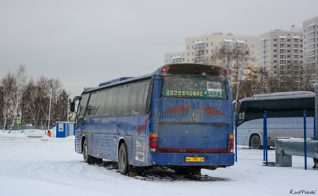 Новосибирская область, Daewoo BH117H Royal Cruistar № МУ 496 54