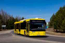 539 КБ