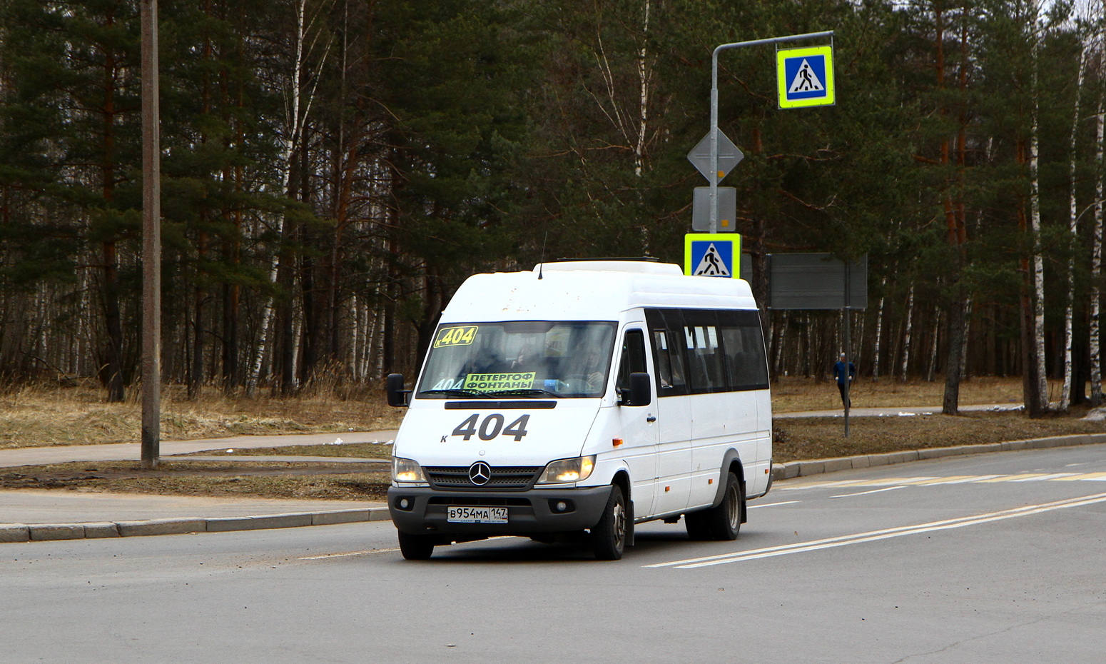 Санкт-Петербург, Луидор-223237 (MB Sprinter Classic) № В 954 МА 147