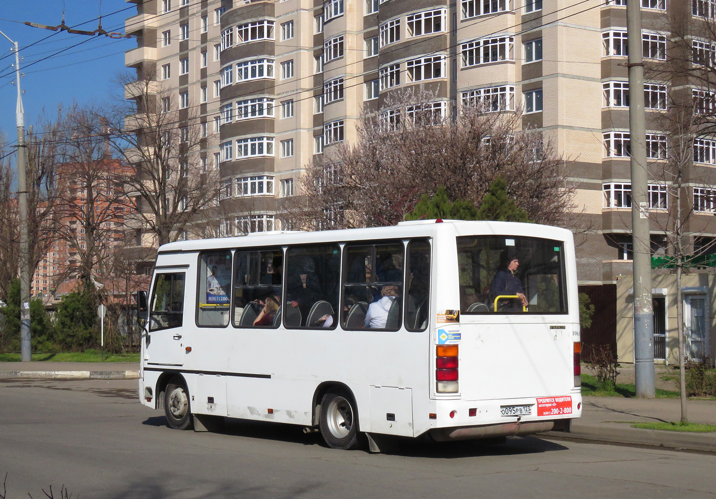 Краснодарский край, ПАЗ-320302-11 № О 095 РВ 123