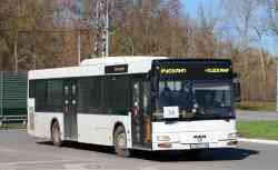 699 КБ