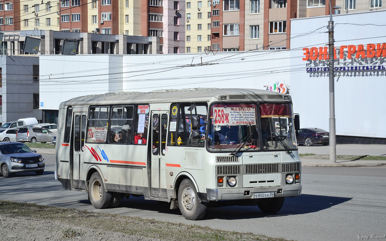 Новосибирская область, ПАЗ-4234 № В 800 ЕВ 54