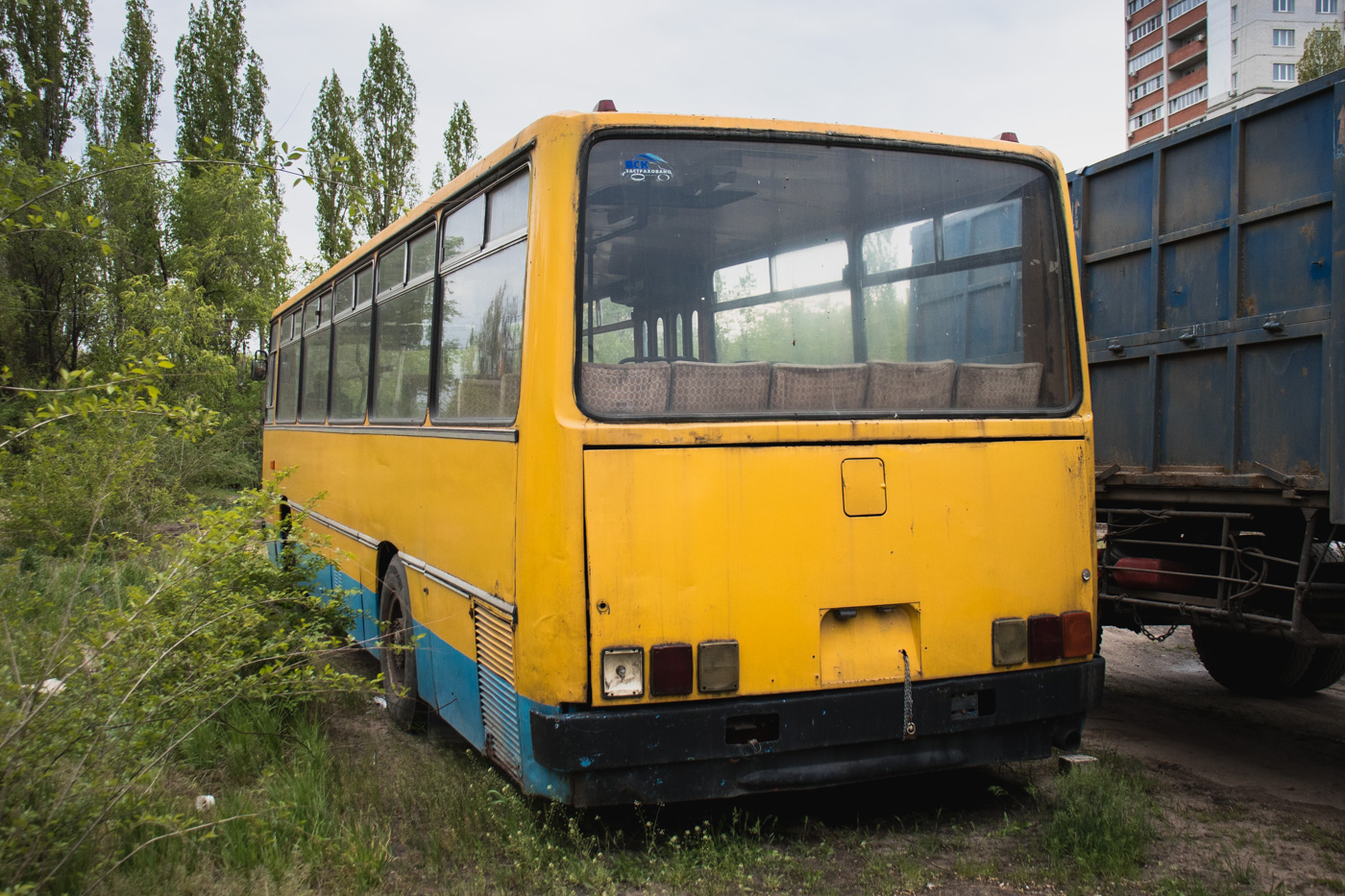 Санкт-Петербург, Ikarus 266.25 № АТ 234 36