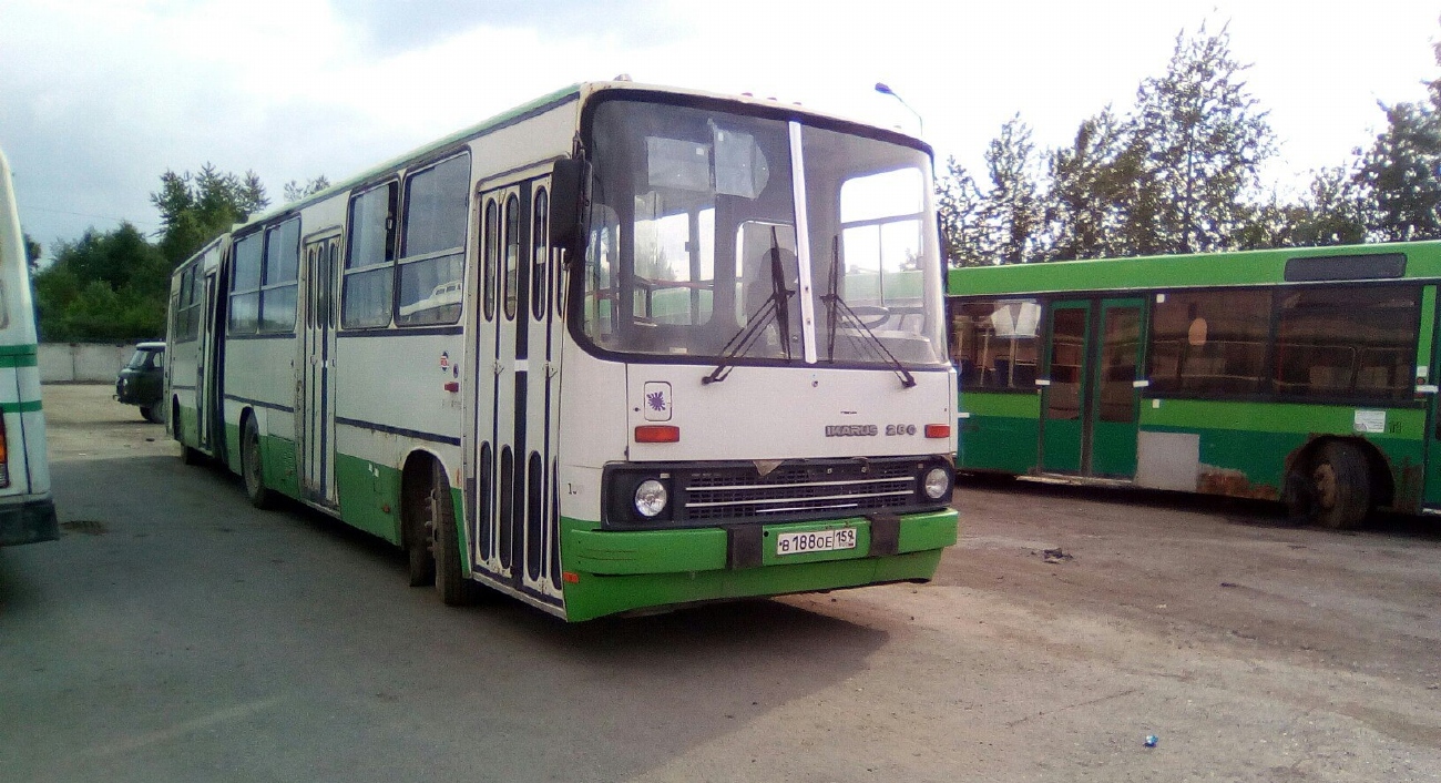 Пермский край, Ikarus 280.33M № В 188 ОЕ 159; Пермский край, МАЗ-105.060 № В 182 ТО 159