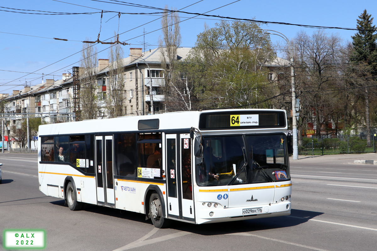 Воронежская область, МАЗ-103.585 № О 029 ВН 136