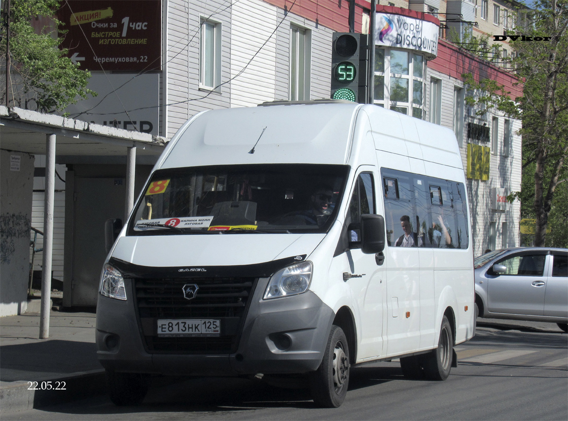 Приморский край, ГАЗ-A65R32 Next № Е 813 НК 125