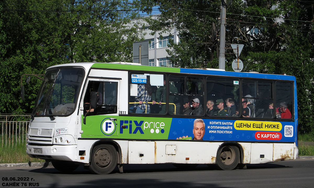 Ярославская область, ПАЗ-320402-05 № 7877