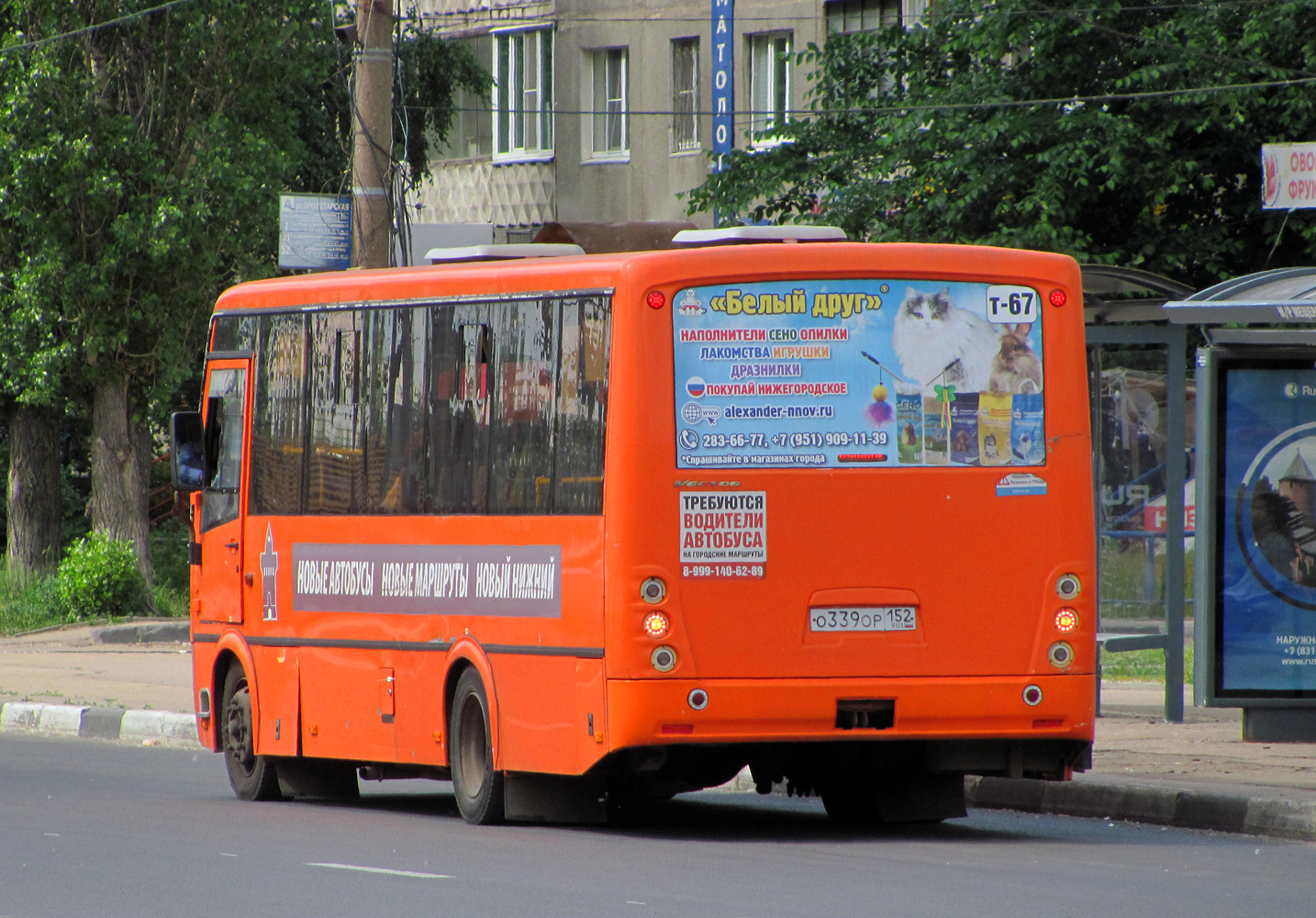 Нижегородская область, ПАЗ-320414-05 "Вектор" № О 339 ОР 152