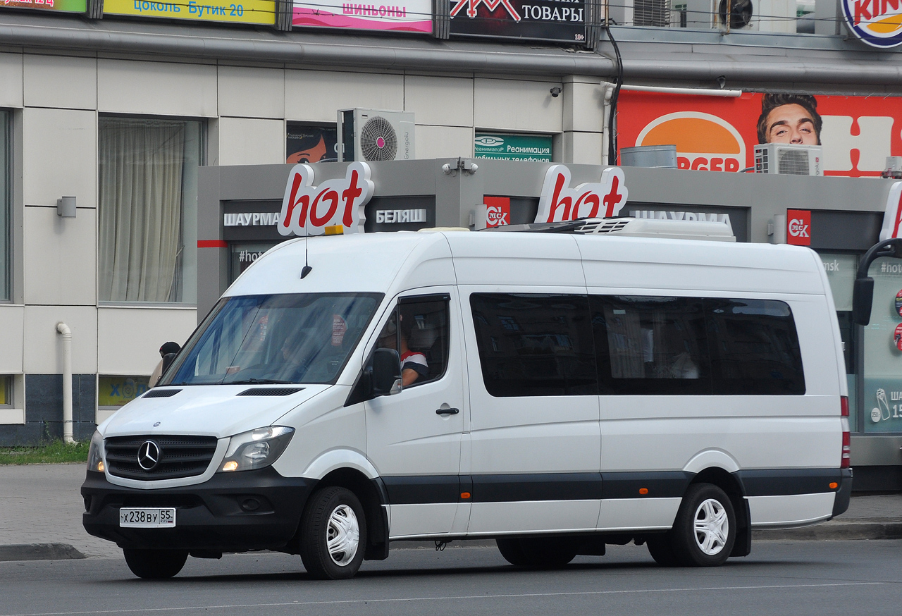 Омская область, Луидор-223602 (MB Sprinter) № Х 238 ВУ 55