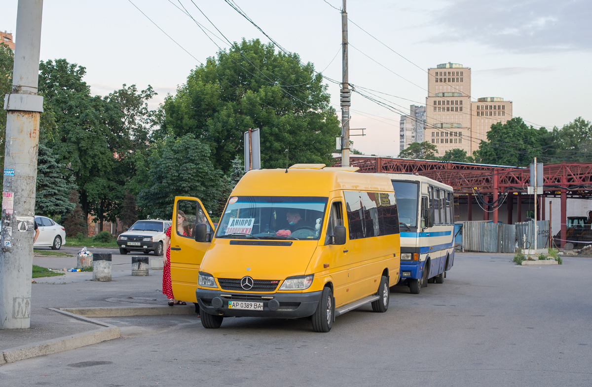 Запорожская область, Mercedes-Benz Sprinter W903 311CDI № AP 0389 BA