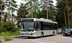 598 КБ