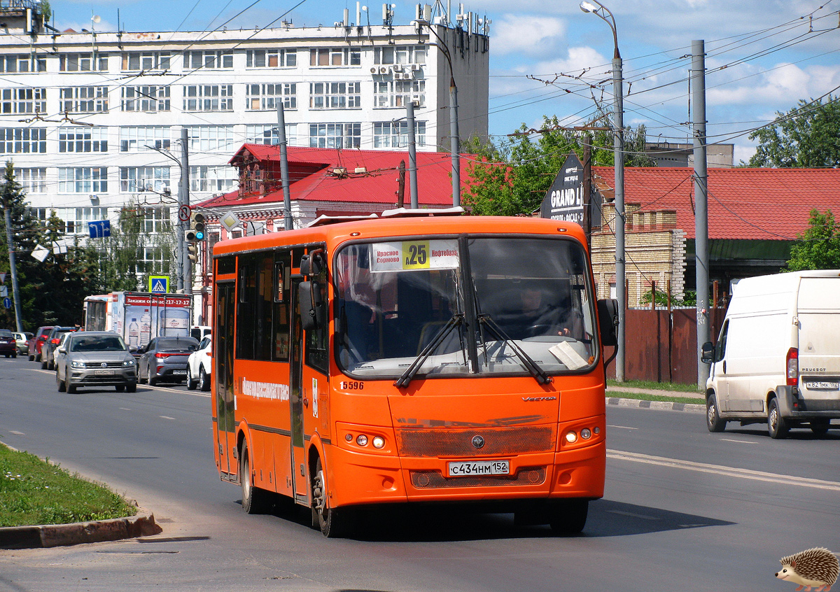 Нижегородская область, ПАЗ-320414-04 "Вектор" № 15596