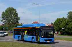 538 КБ