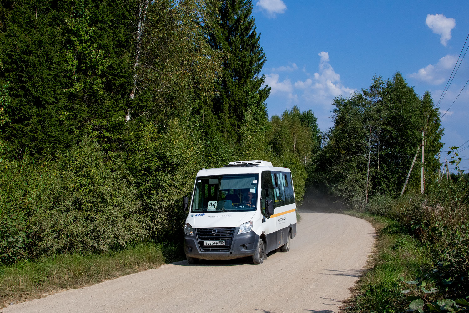Московская область, Луидор-2250DS (ГАЗ Next) № 095056