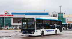 596 КБ