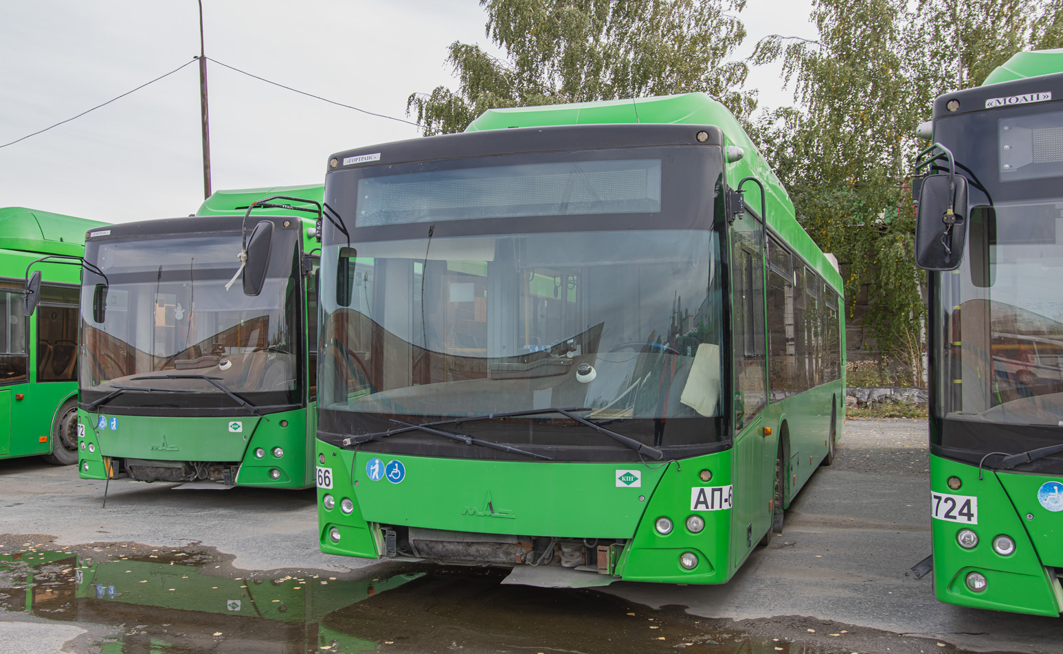 Свердловская область, МАЗ-203.L65 № 1766