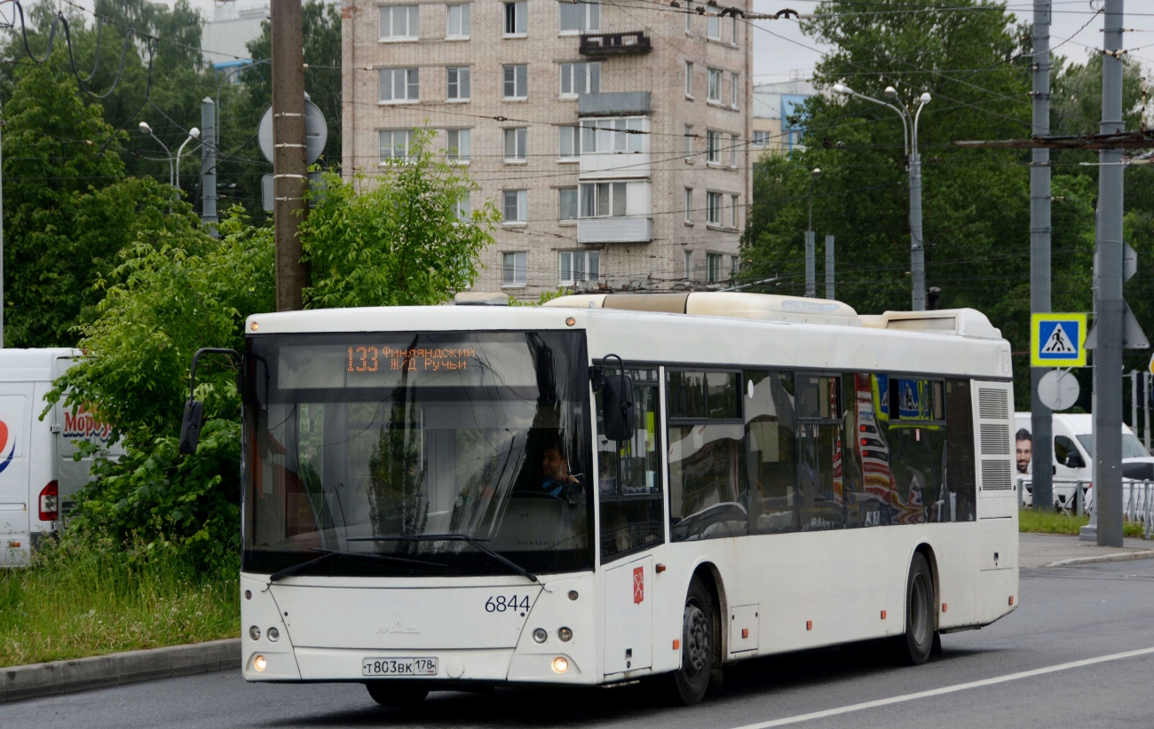 Санкт-Петербург, МАЗ-203.085 № 6844