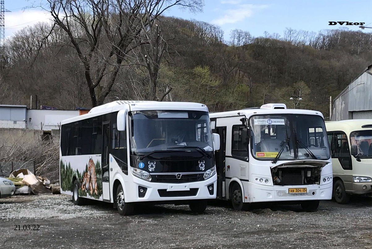 Приморский край, ПАЗ-320455-04 "Vector Next" (межгород) № О 614 ТА 125