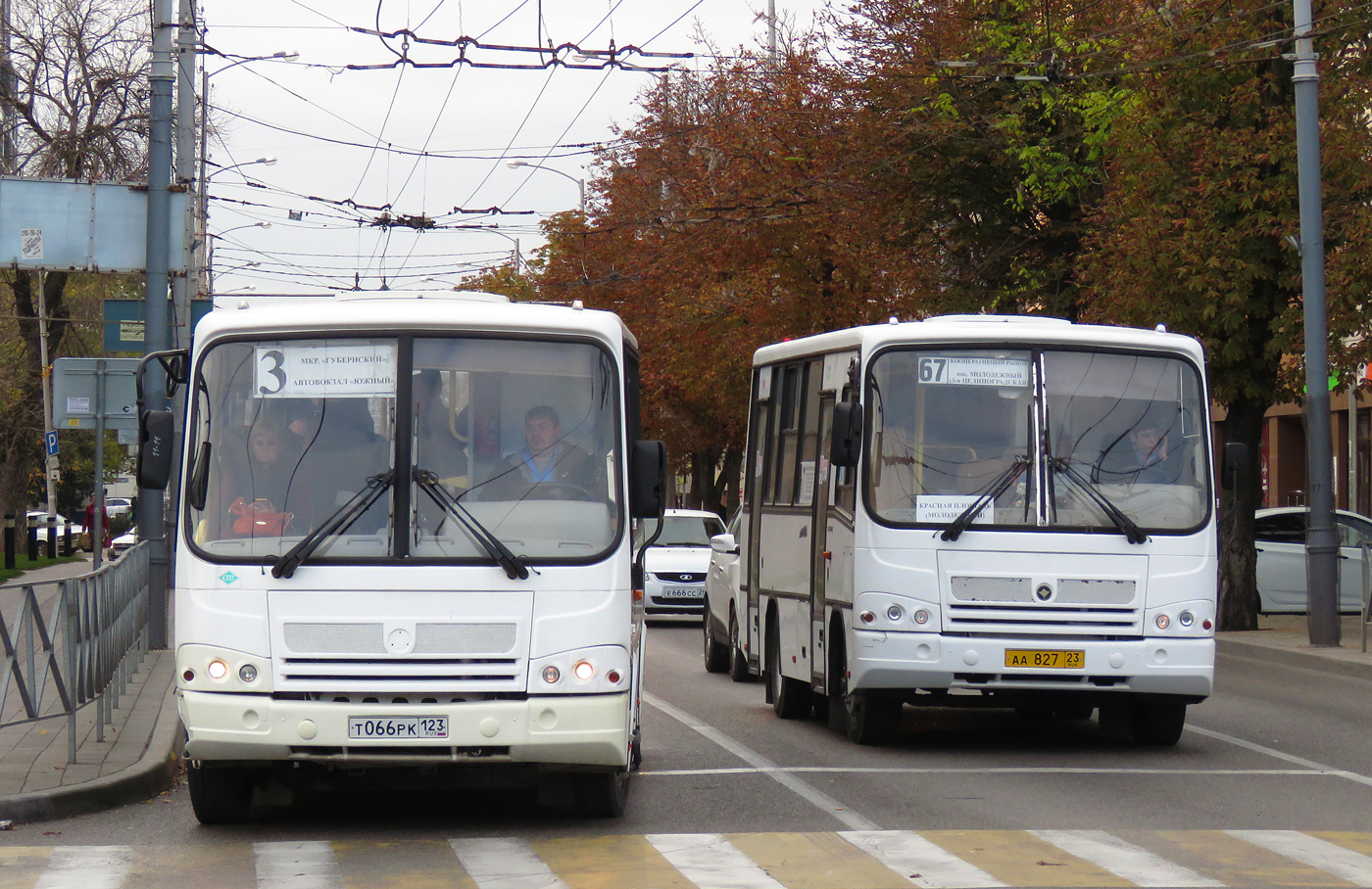 Краснодарский край, ПАЗ-320412-10 № Т 066 РК 123; Краснодарский край, ПАЗ-320402-05 № АА 827 23