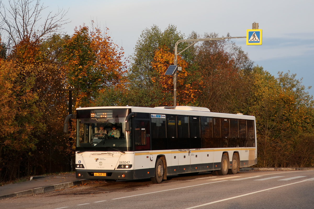 Московская область, ГолАЗ-622810-10 № 065047