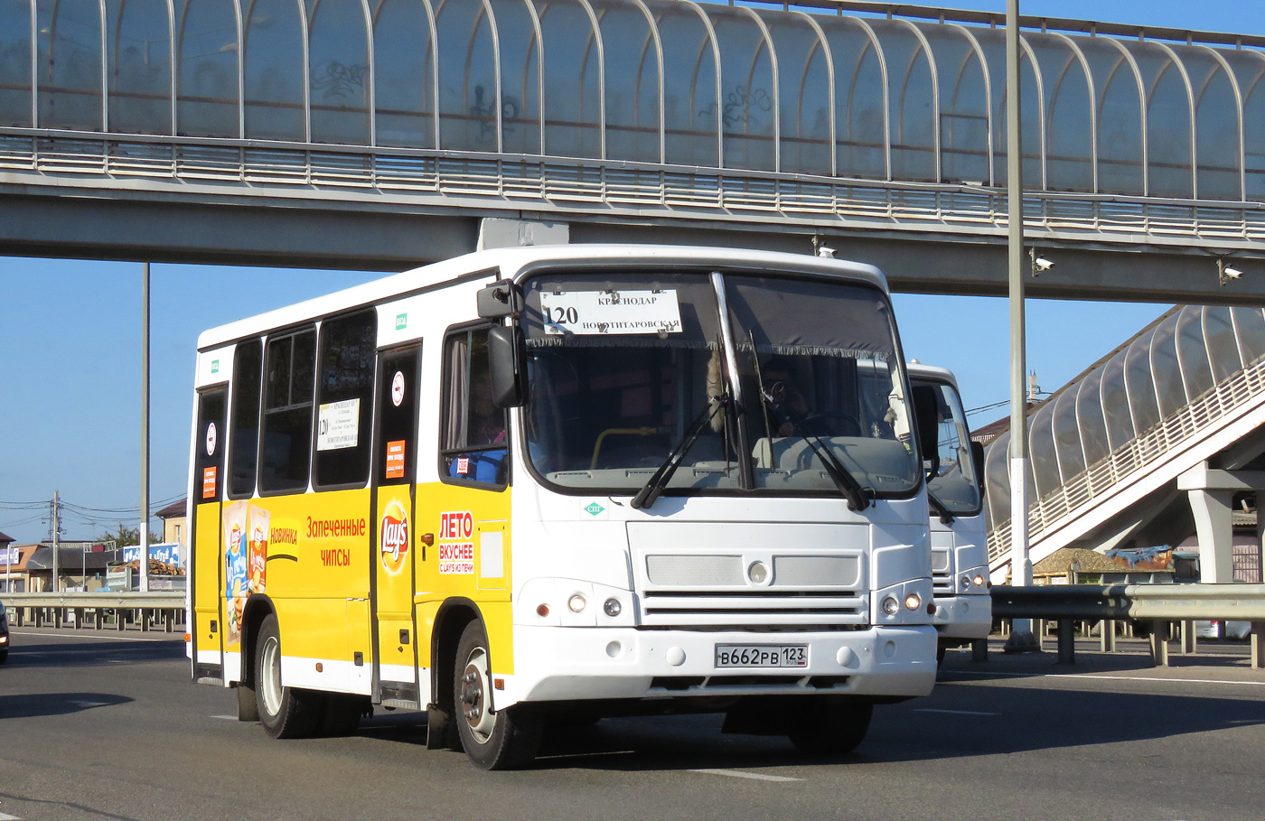 Краснодарский край, ПАЗ-320302-11 № В 662 РВ 123