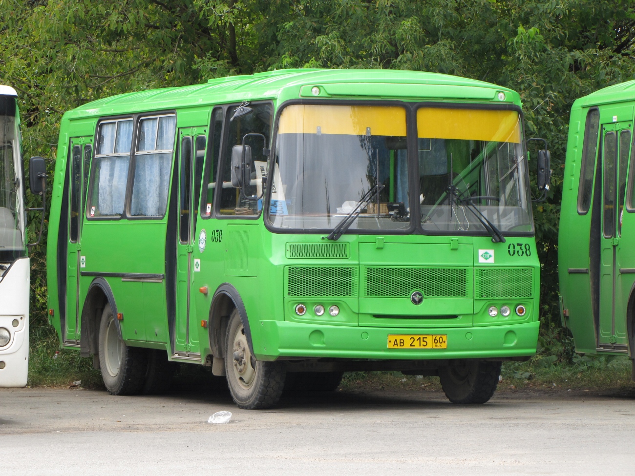 Псковская область, ПАЗ-320540-22 № 038