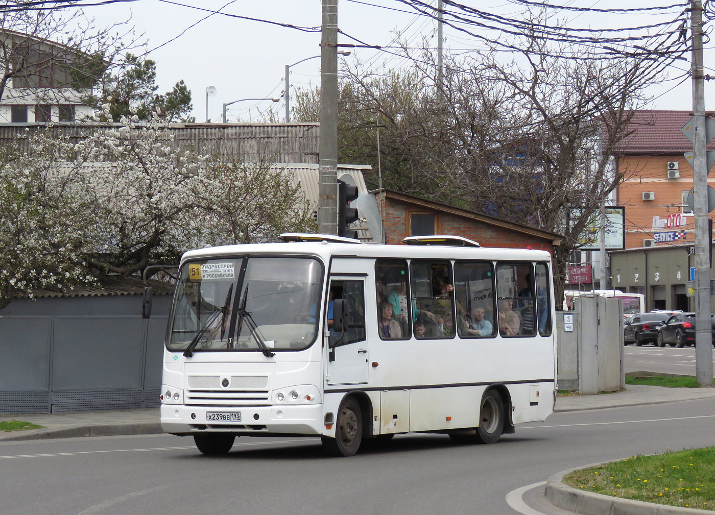 Краснодарский край, ПАЗ-320302-12 № Х 239 ВВ 193