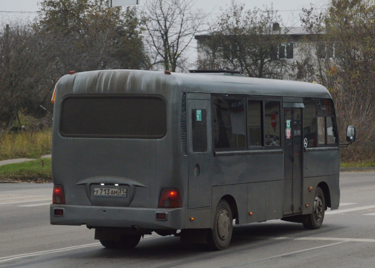 Белгородская область, Hyundai County LWB C09 (ТагАЗ) № У 713 АМ 31