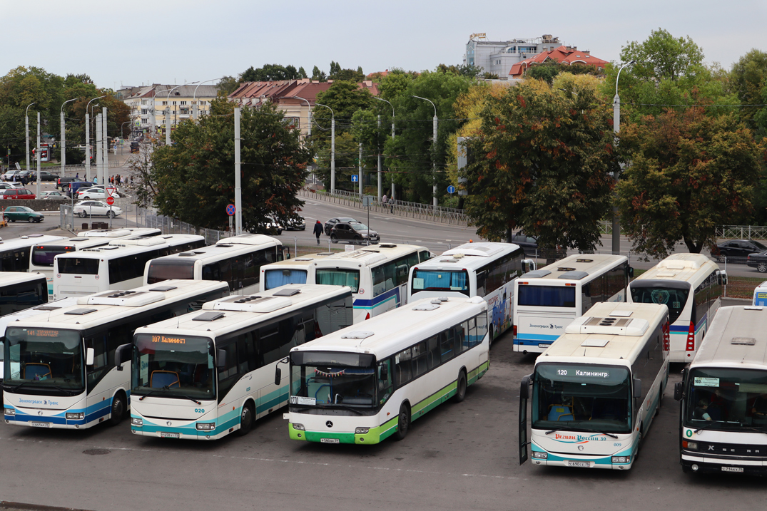 Калининградская область, Mercedes-Benz O345 Conecto Ü № Р 580 ВК 39; Калининградская область, Irisbus Crossway LE 12M № 009; Калининградская область — Разные фотографии