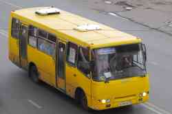 338 КБ