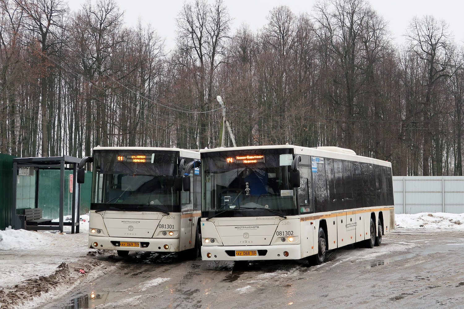Московская область, ГолАЗ-622810-10 № 081302