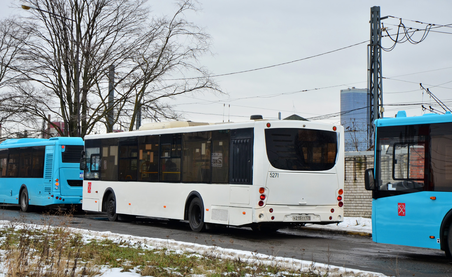 Санкт-Петербург, Volgabus-5270.00 № 5271