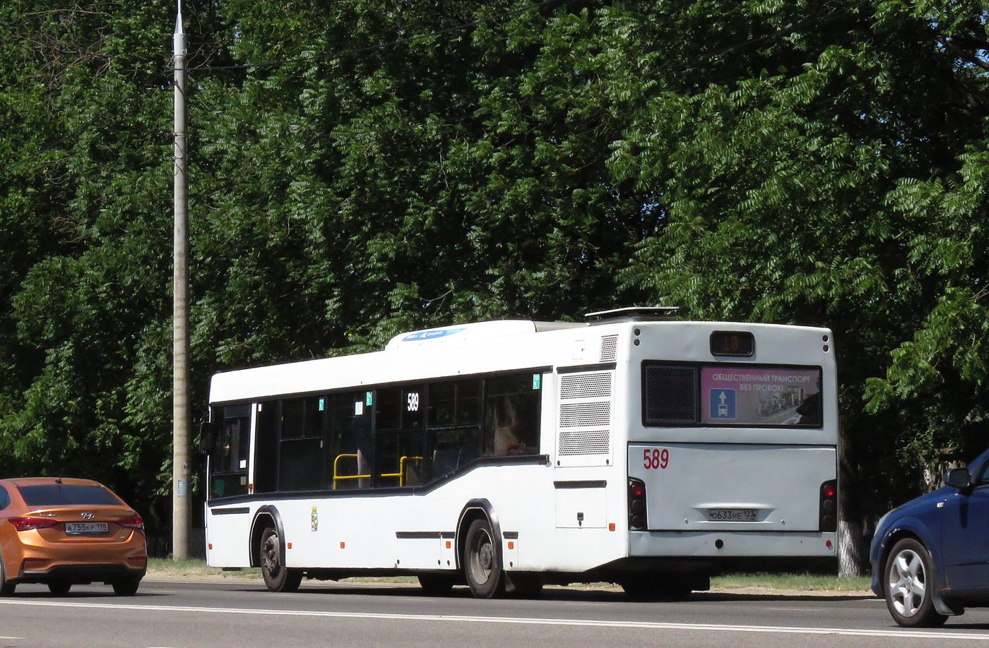 Краснодарский край, МАЗ-103.586 № 589