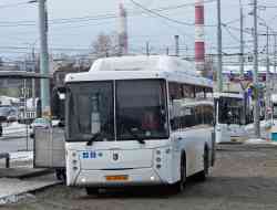 538 КБ