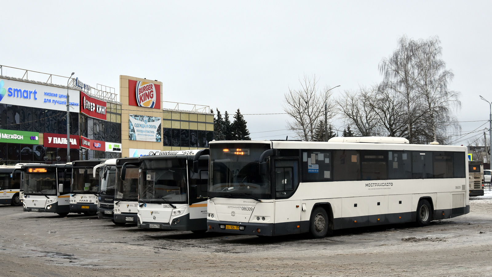 Московская область, ГолАЗ-525110-10 "Вояж" № 086309