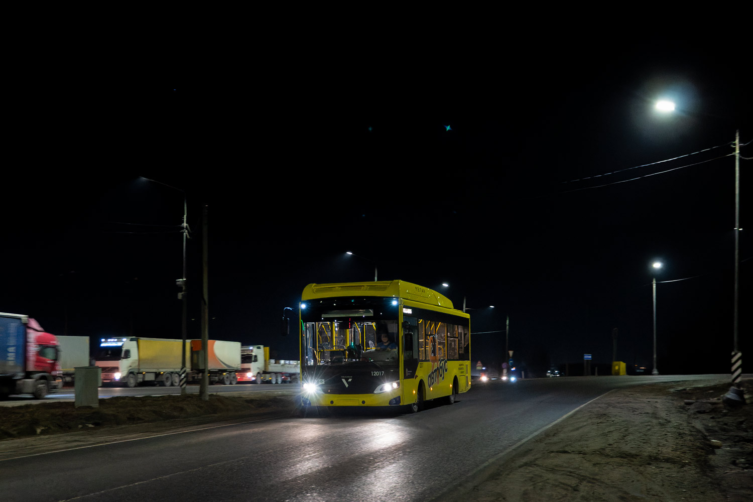 Ярославская область, Volgabus-4298.G4 (CNG) № 12017; Ярославская область — Новые автобусы