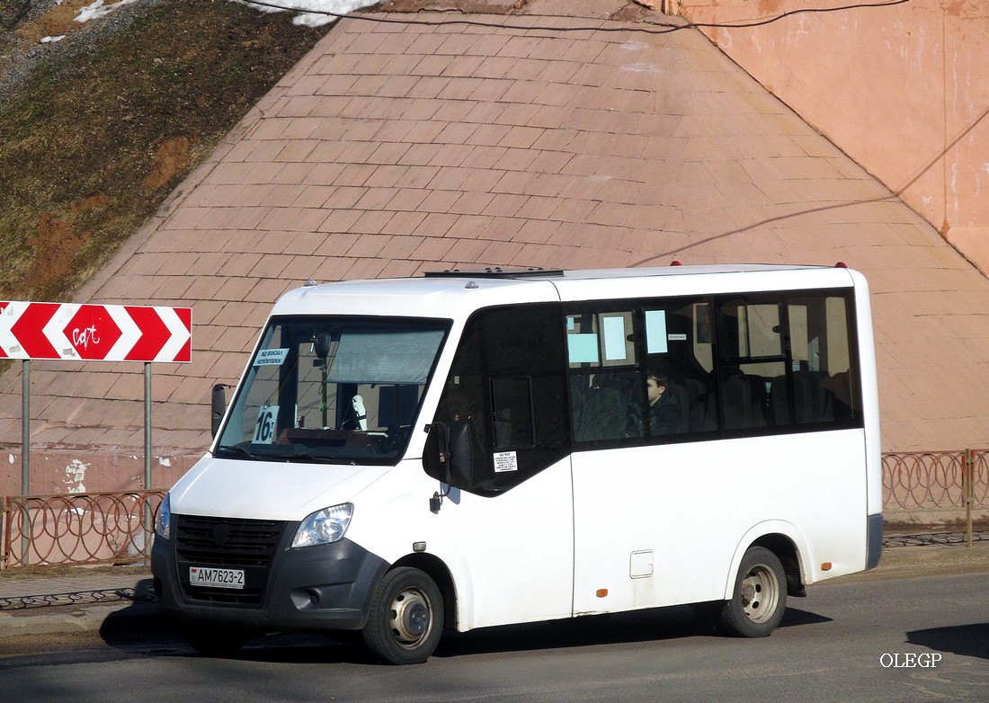 Витебская область, Луидор-225019 (ГАЗ Next) № АМ 7623-2