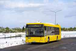 593 КБ