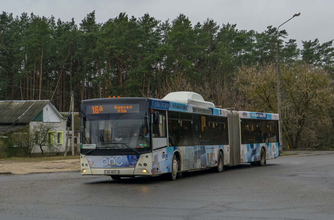 Гомельская область, МАЗ-215.069 № 26077