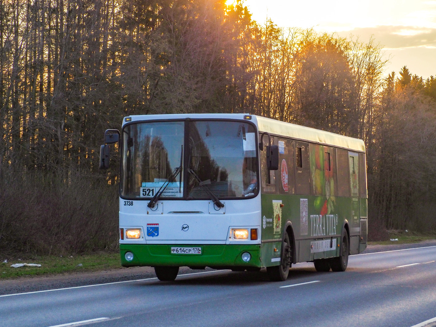 Ленинградская область, ЛиАЗ-5256.60 № 3738